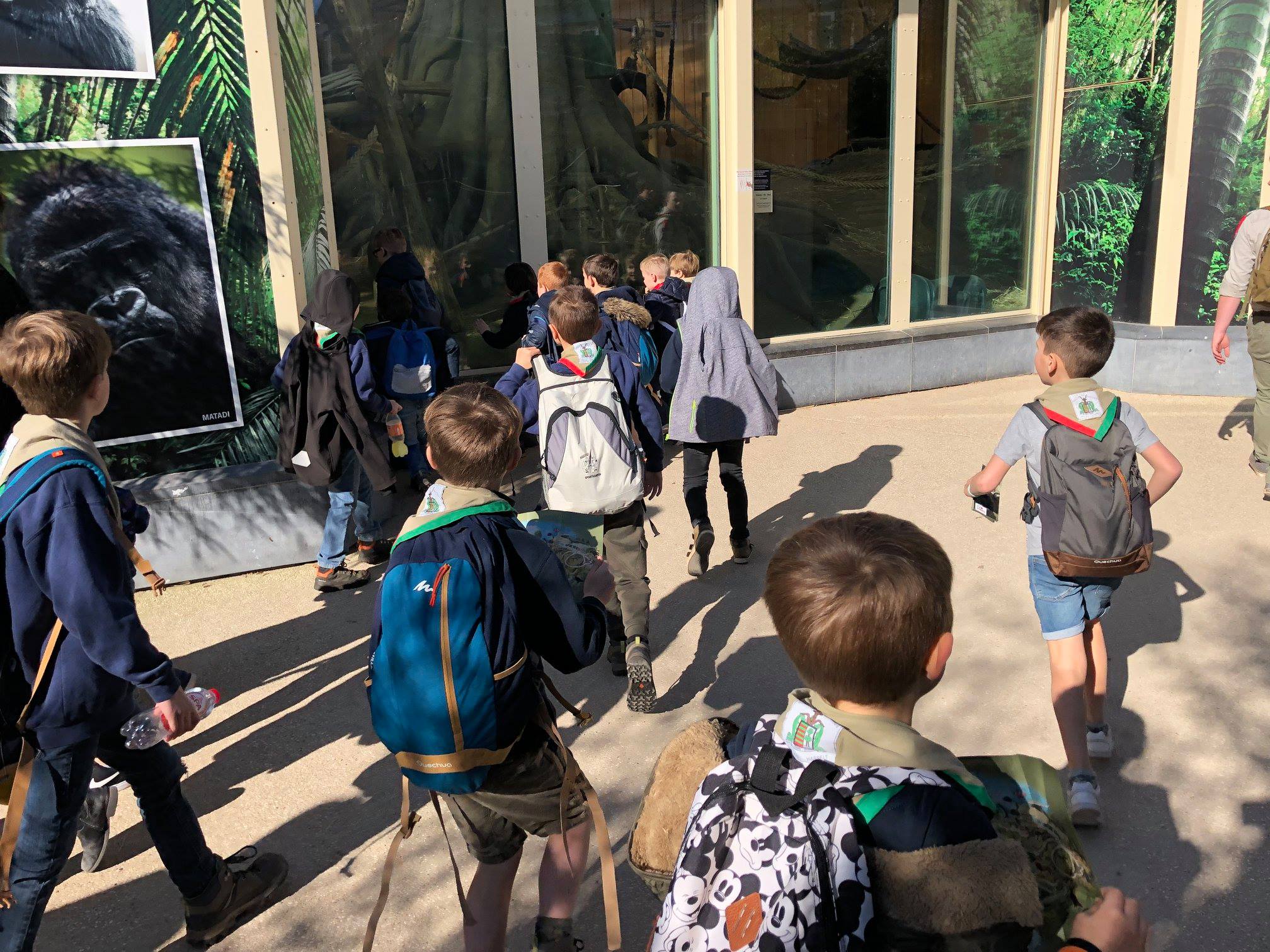 Sint-Martinus den XIIde - Zoo Antwerpen Kapoenen